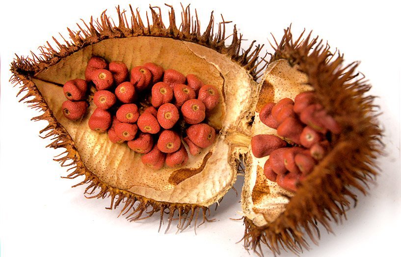 achiote