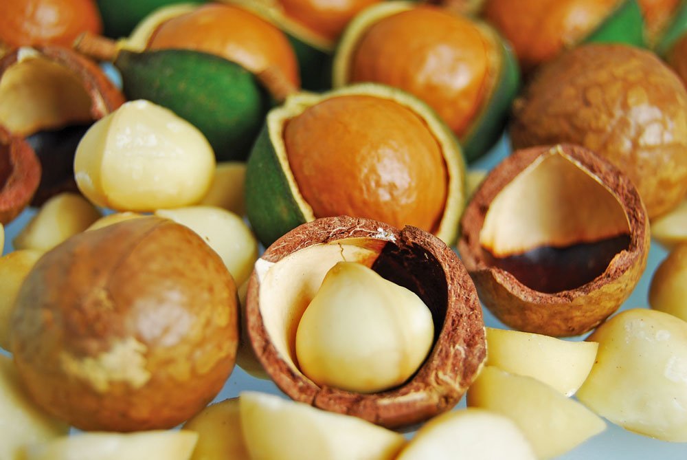 nueces de macadamia