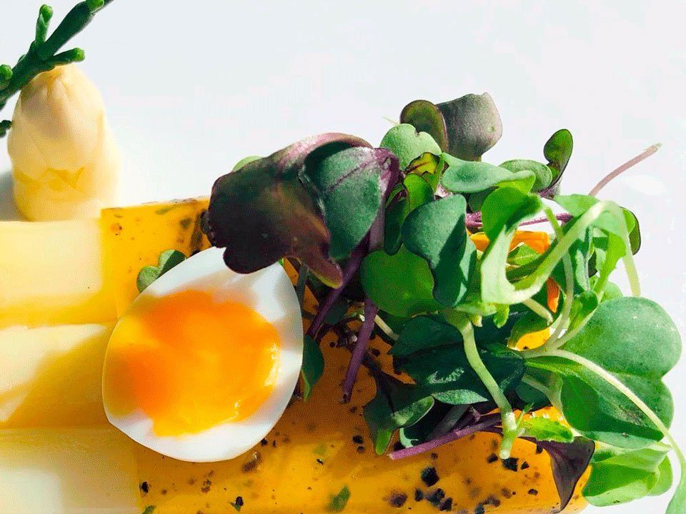 ¿Dónde comer los mejores espárragos de Navarra?